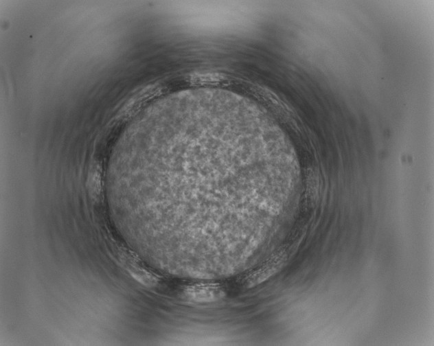 X0000089970761200707131422