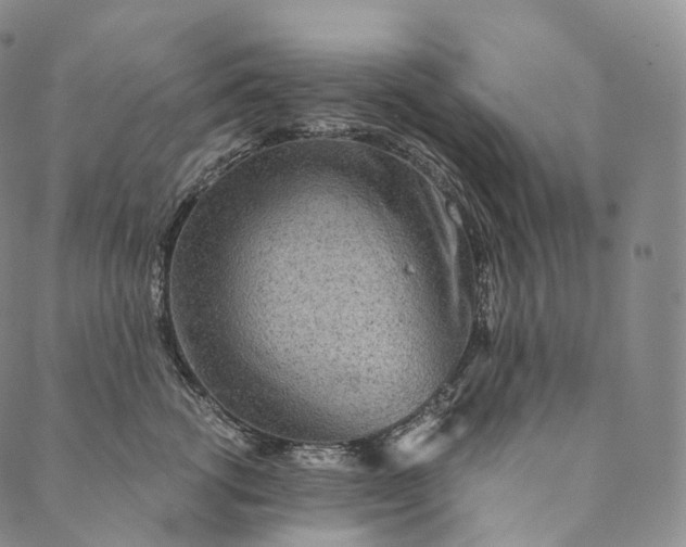 X0000089970762200707131422