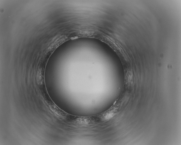 X0000089970764200707131422