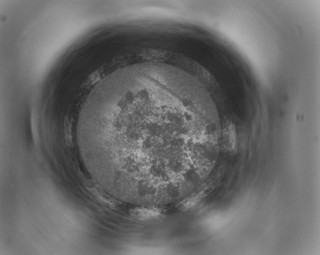 X0000089970765200707131423