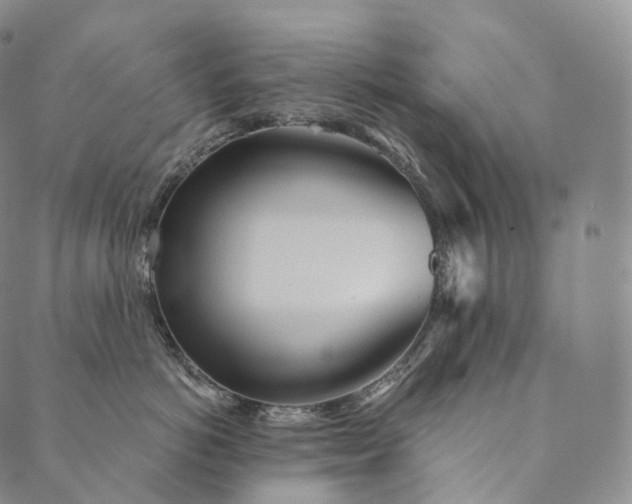 X0000089970766200707131423