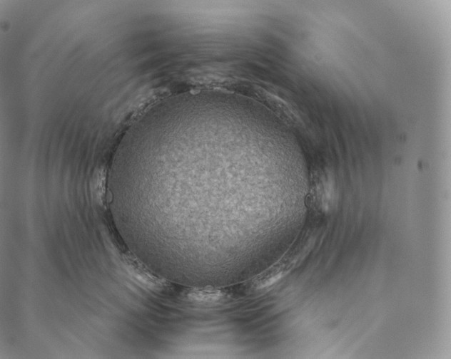 X0000089970767200707131423