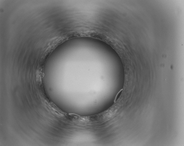 X0000089970768200707131423