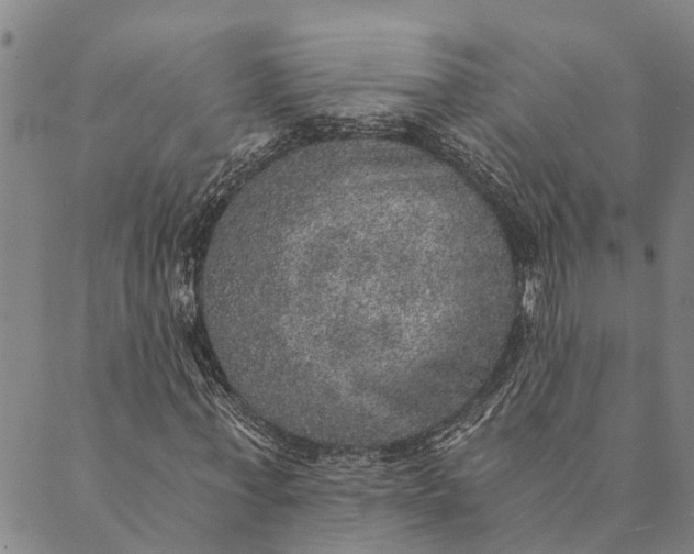 X0000089970771200707131422