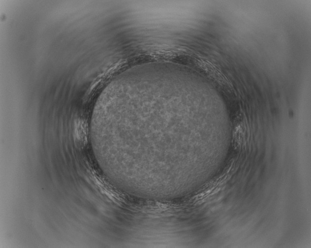 X0000089970772200707131422