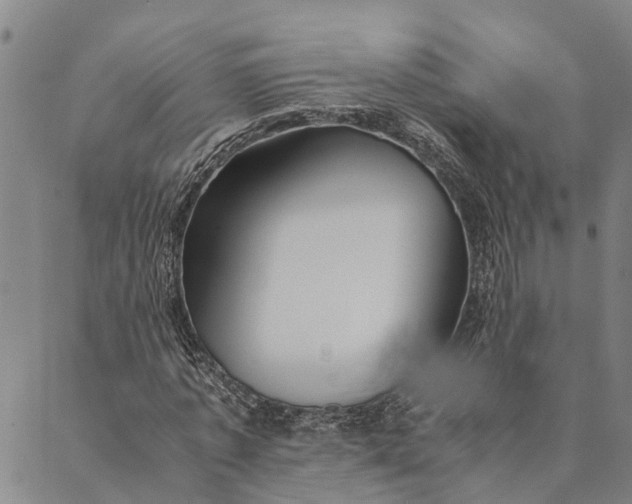 X0000089970773200707131422