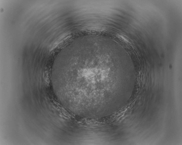 X0000089970774200707131422