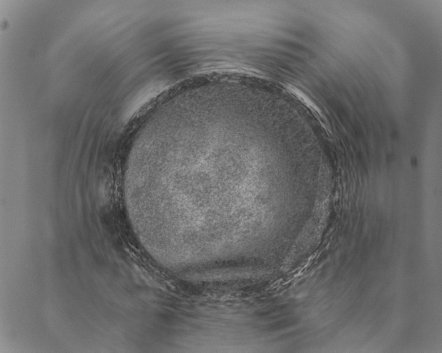 X0000089970775200707131422