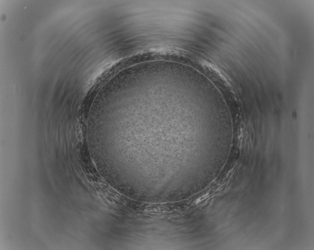 X0000089970776200707131422