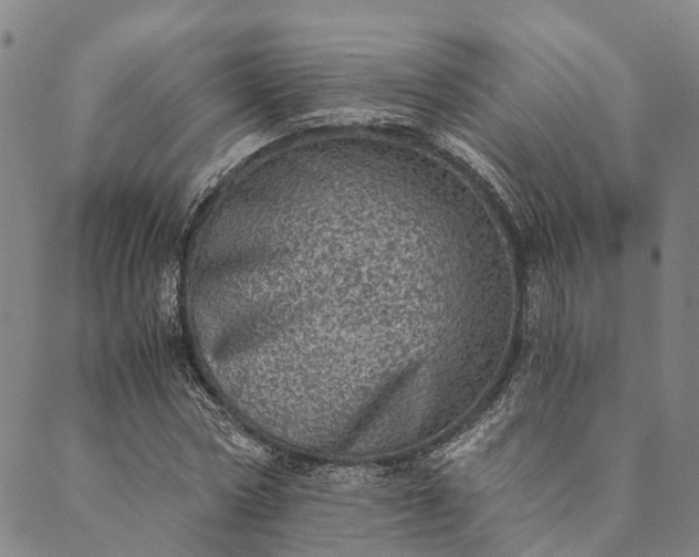 X0000089970778200707131422