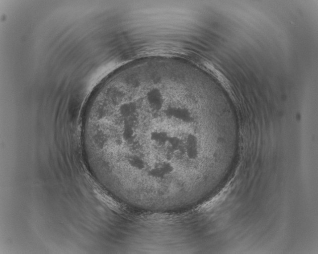 X0000089970779200707131422