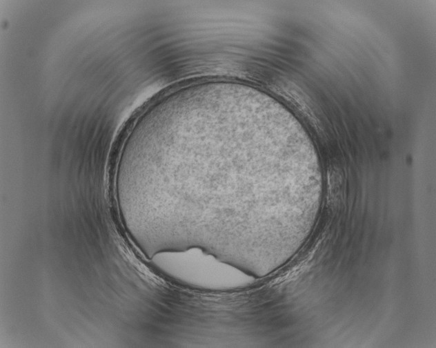 X0000089970780200707131422