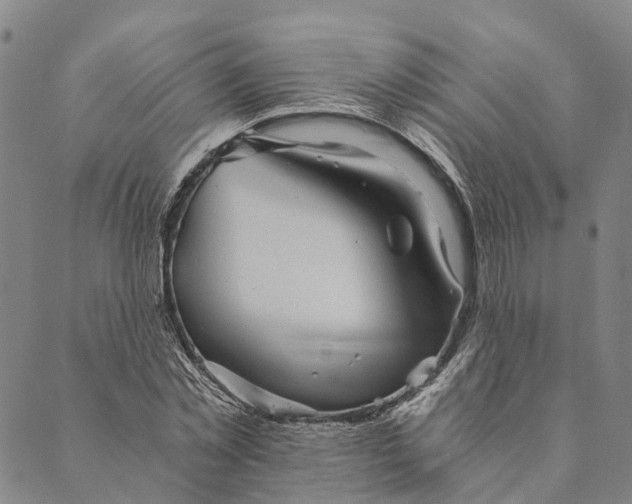 X0000089970781200707131422