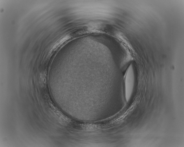 X0000089970785200707131422