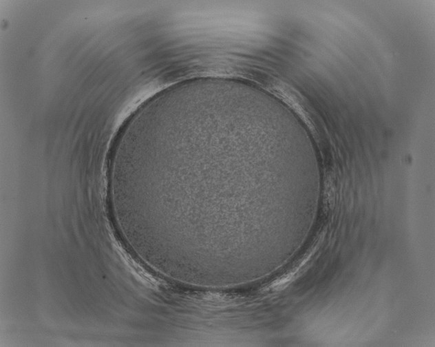 X0000089970787200707131421