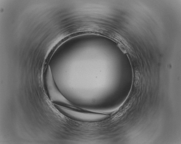 X0000089970788200707131421