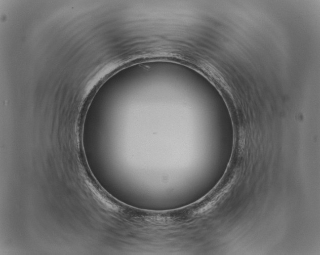 X0000089970789200707131421