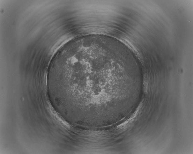 X0000089970790200707131421