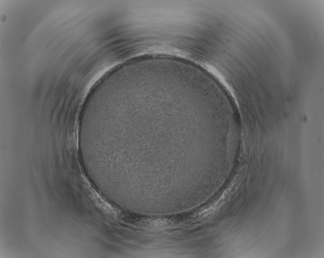 X0000089970791200707131421