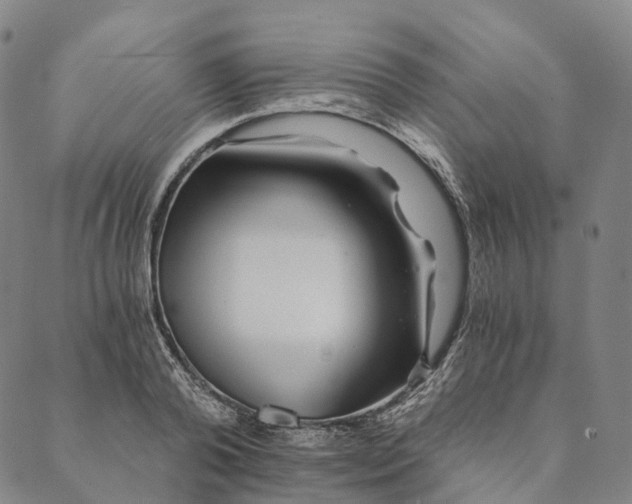 X0000089970792200707131421