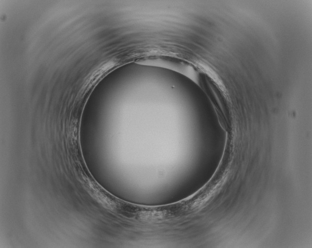 X0000089970793200707131421