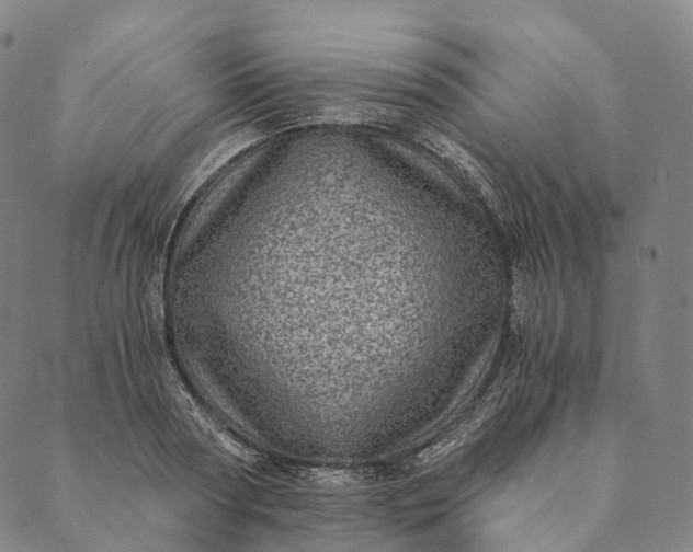 X0000089970794200707131421