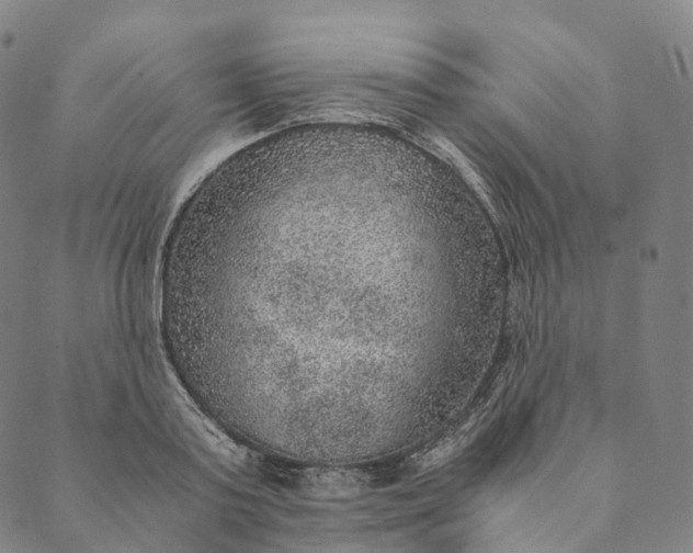 X0000089970795200707131421