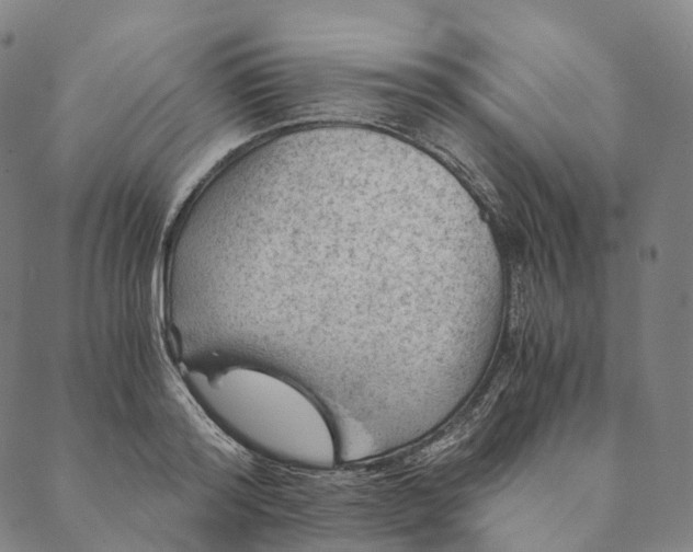 X0000089970796200707131421