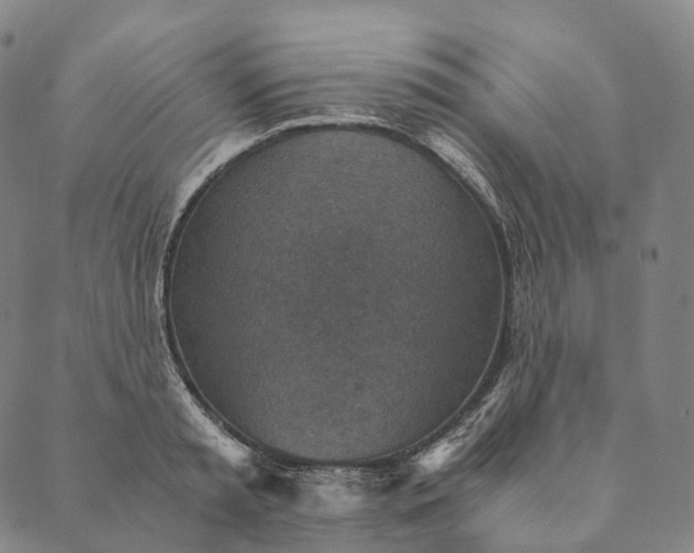 X0000089970797200707131421