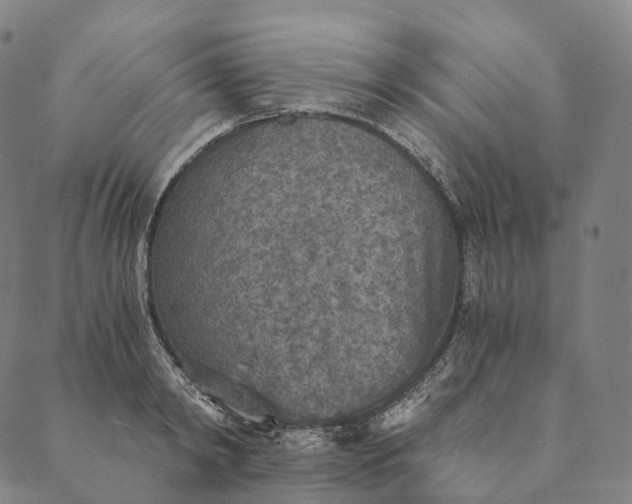 X0000089970798200707131421