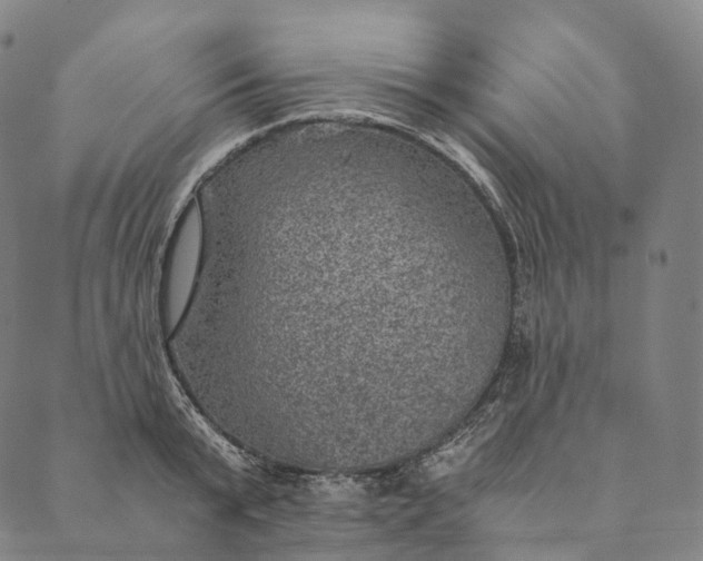 X0000089970799200707131421