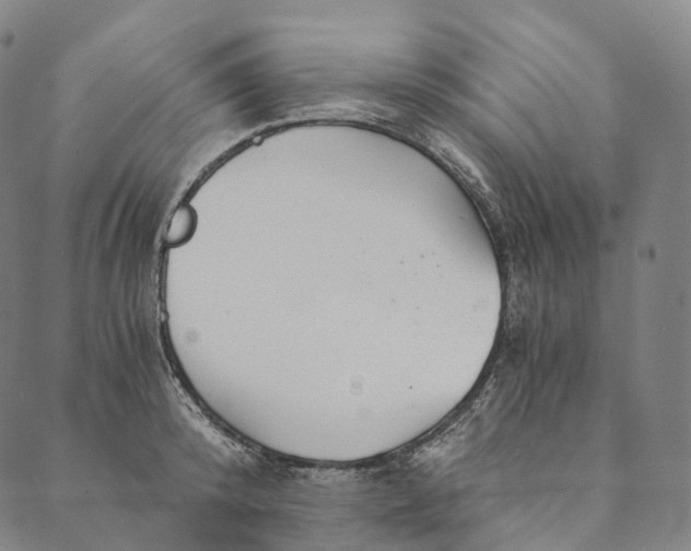 X0000089970800200707131421