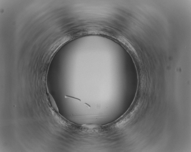 X0000089970801200707131421