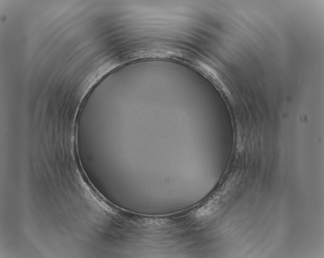 X0000089970802200707131421