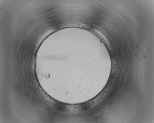 X0000089970804200707131421