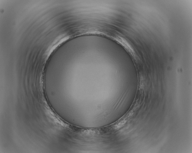 X0000089970806200707131421