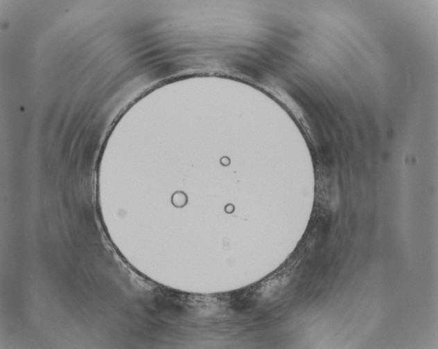 X0000089970807200707131421