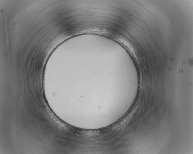 X0000089970808200707131421