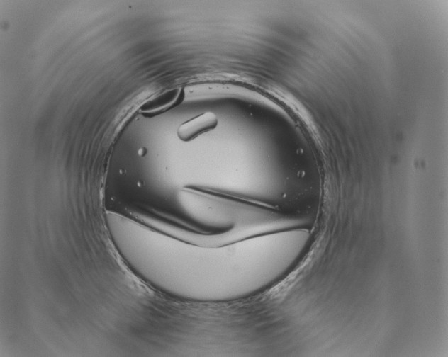 X0000089970809200707131421