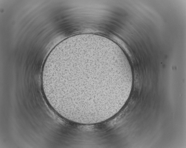 X0000089970810200707131421