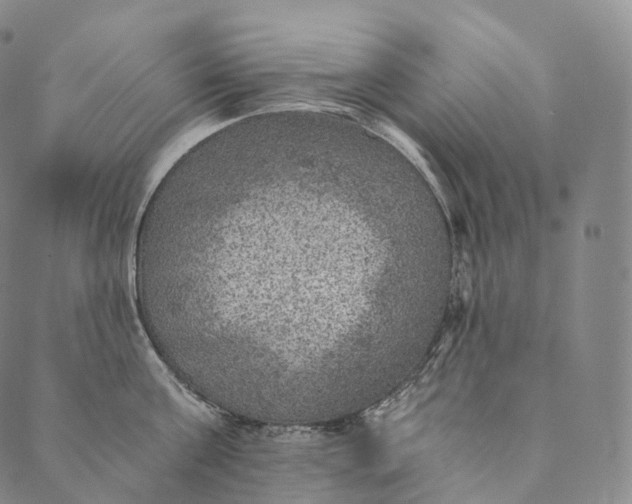 X0000089970811200707131421