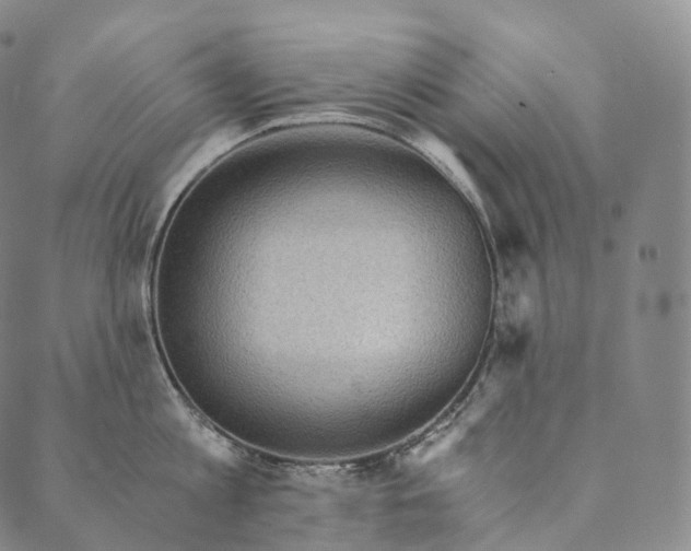 X0000089970813200707131421