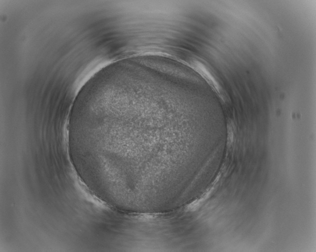 X0000089970814200707131421