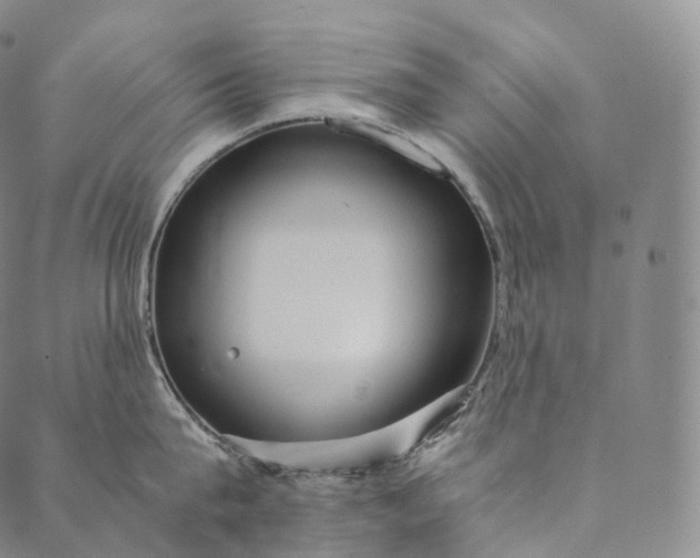 X0000089970815200707131421