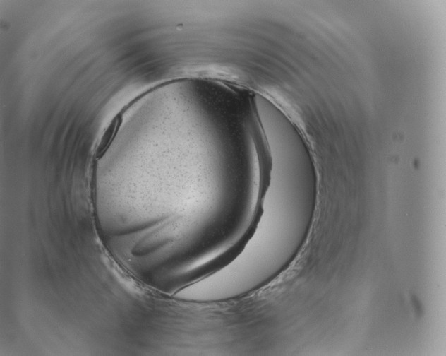 X0000089970816200707131421