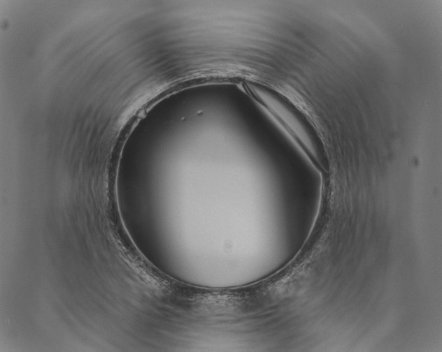 X0000089970834200707131421