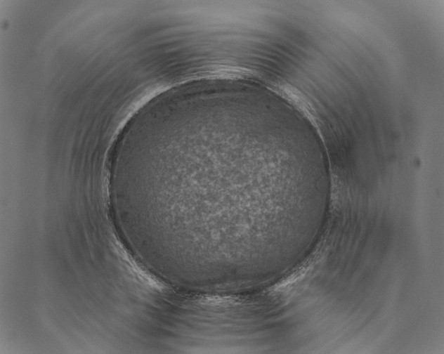 X0000089970835200707131421