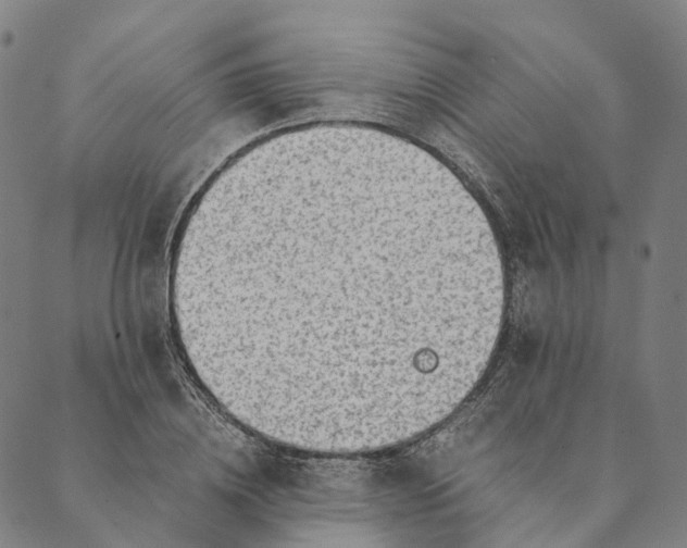 X0000089970836200707131421