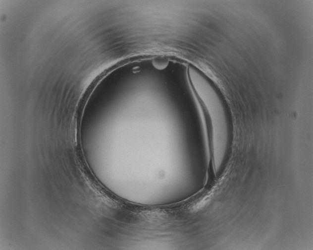 X0000089970838200707131421