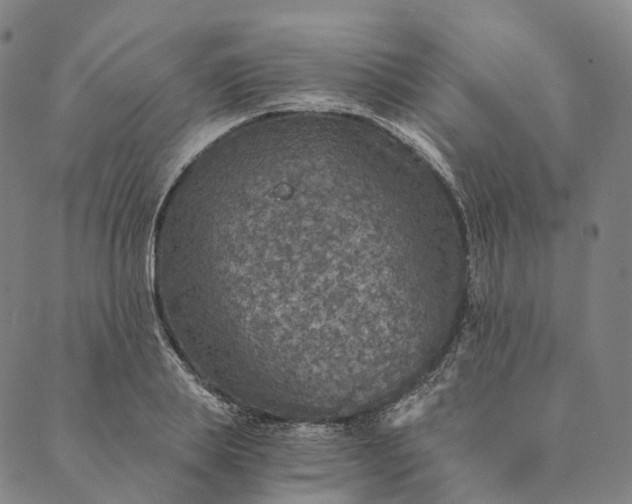 X0000089970839200707131421